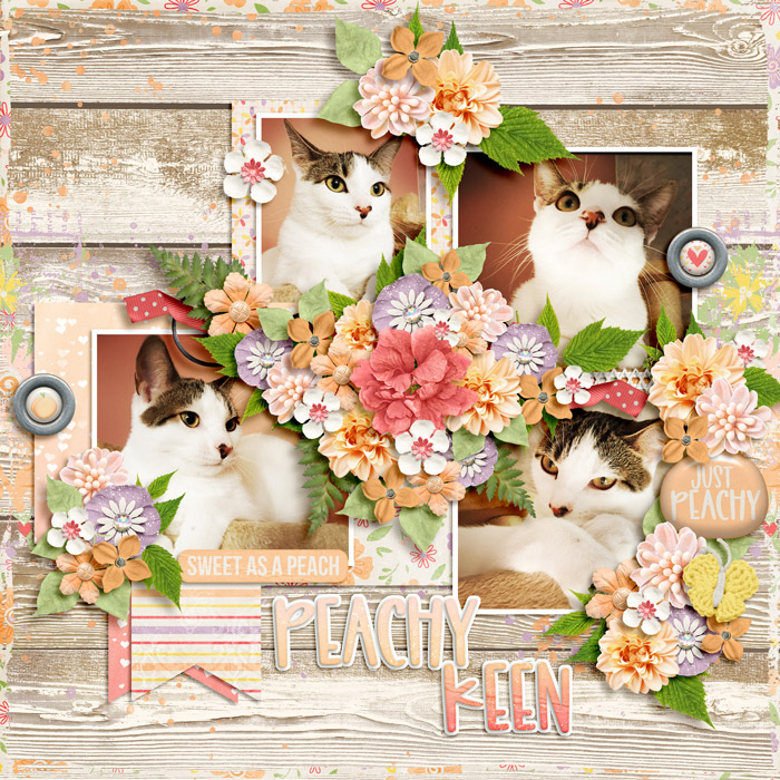 alchemywildstudio_underthe-