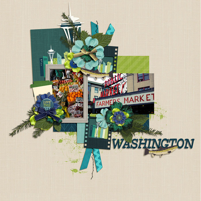 allyanne_50-states-Washington-01