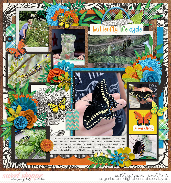 allyanne_ButterflySeason_palooza20_01_WM