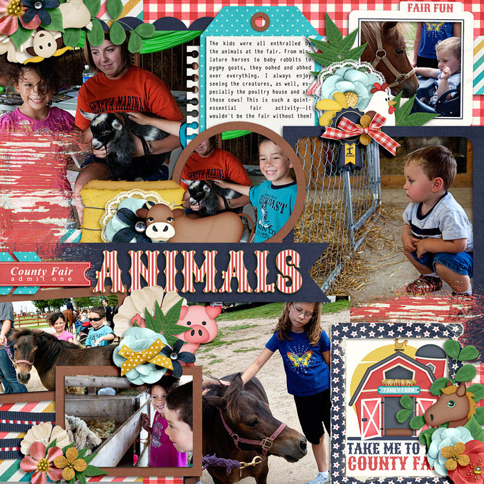 allyson_all_s-fair-01-700