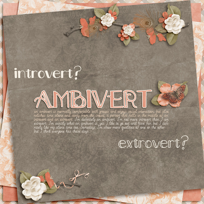 ambivert_web
