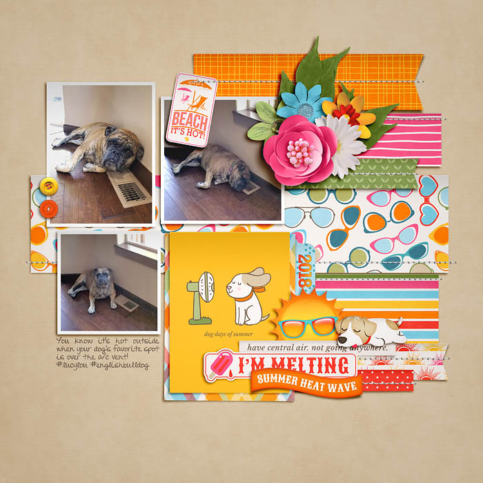 amie_cs_700-1