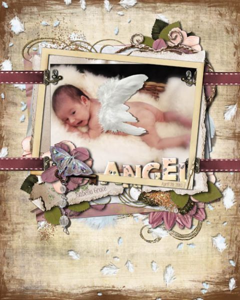 angel_copia