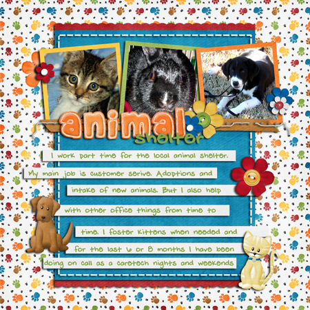 animal-shelter
