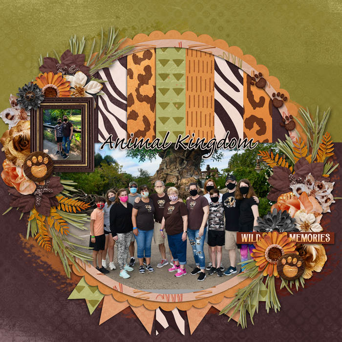 animalkingdomweb2