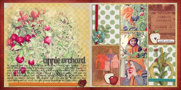 apple-orchard-full-web