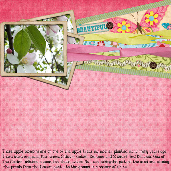 apple_blossom_time_copy2
