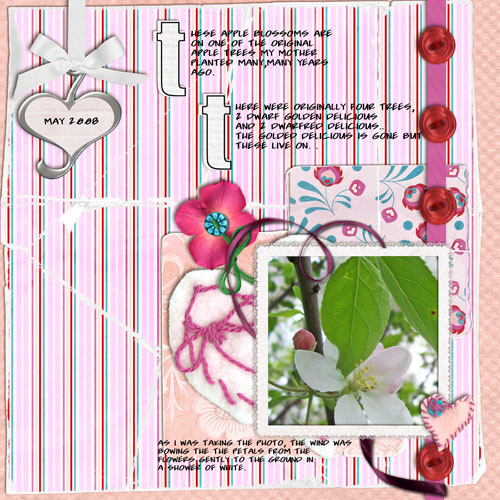 apple_blossome_time_II_copy