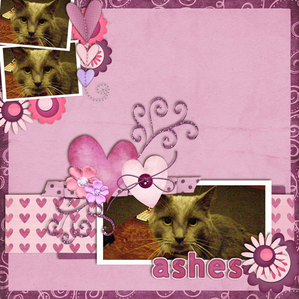 ashesweb