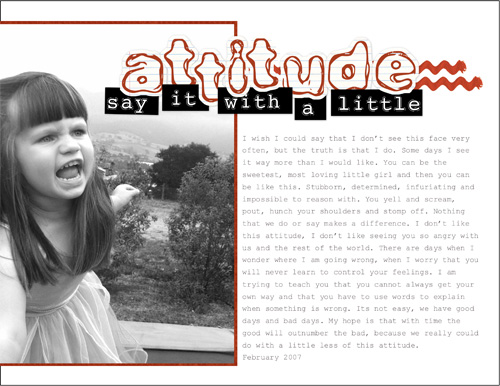 attitude_web
