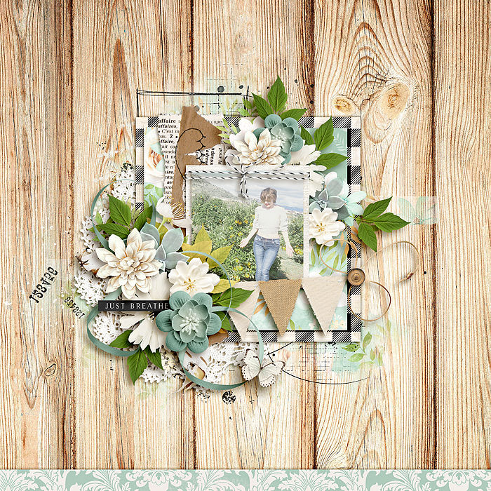 august18_smaller2