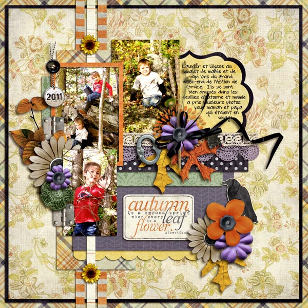 autumn-is-a-second-spring2