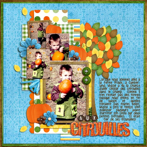 aux-citrouilles-20092