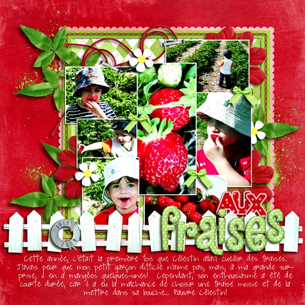 aux-fraises-20092