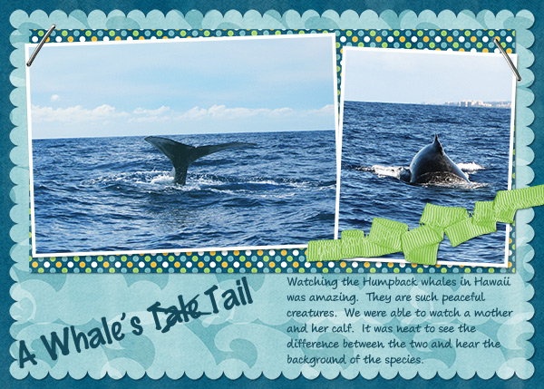 awhalestail
