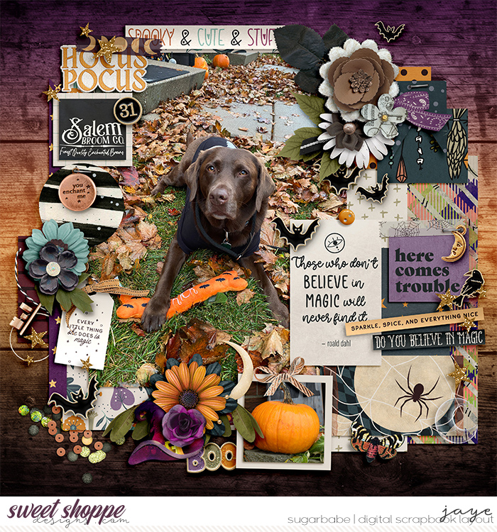 babe-layout1
