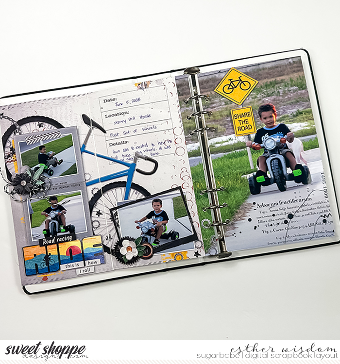 babe_SSD_BG_HHCycling_V2_projectbyEstherWisdom