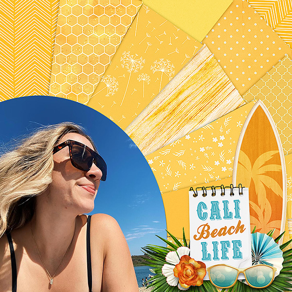 beach-life1