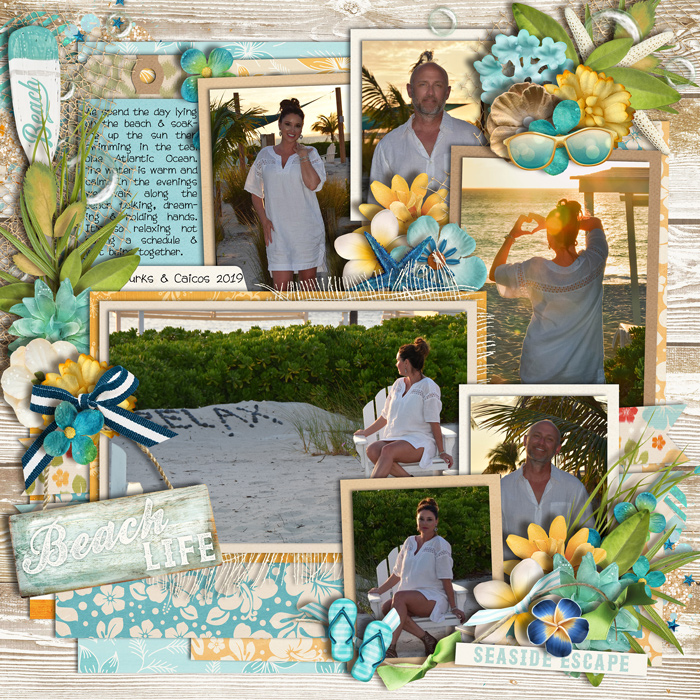 beach2019web