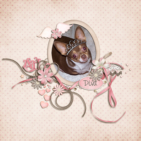 beanie_ldkcb_tinydancer_web