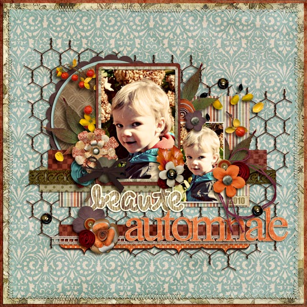 beaute-automnale2