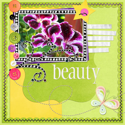 beauty6