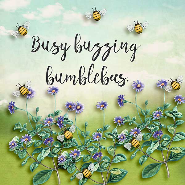 bee-copy