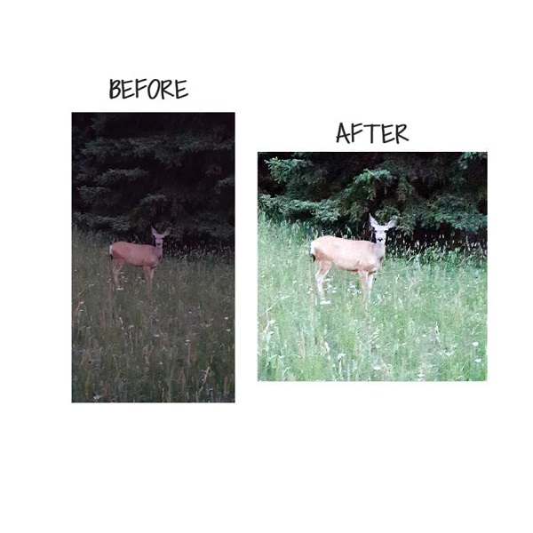 before_after4