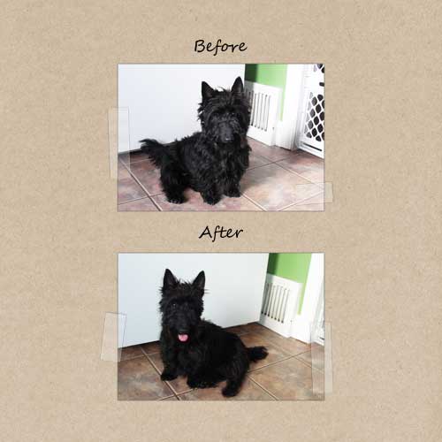 beforeafterweb