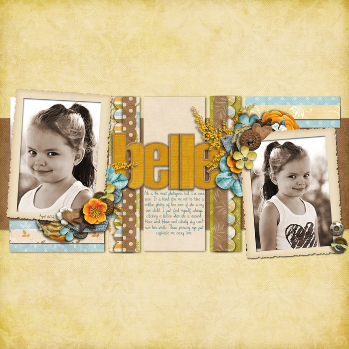 belle_WebBT2012