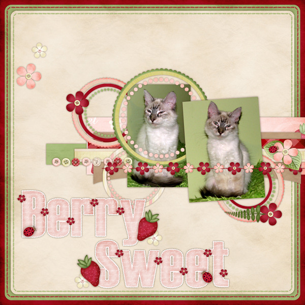 berry_sweet_-_Pebbles