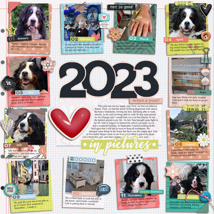 bg_2023inPictures-year-in-review-700
