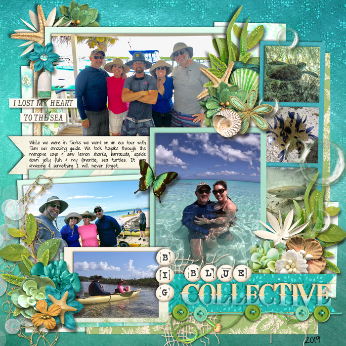 bigbluecollective2019web