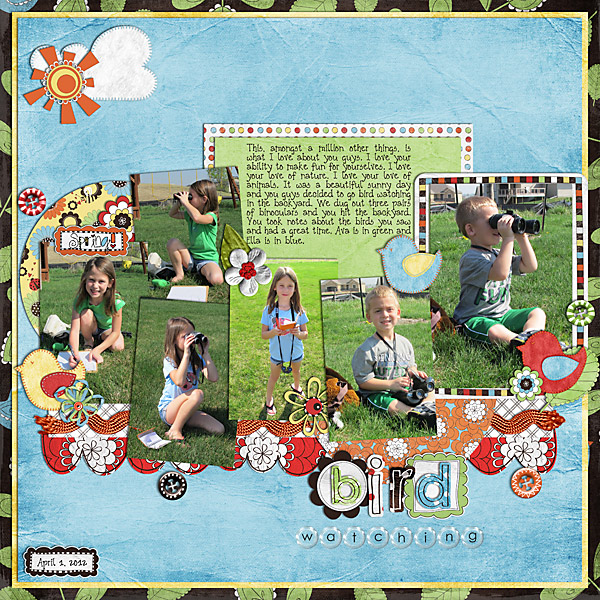 bird-watching-2012-template-36-copy