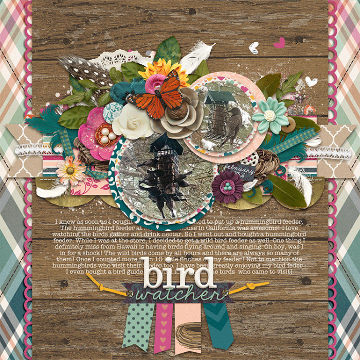 birdwatcher_web