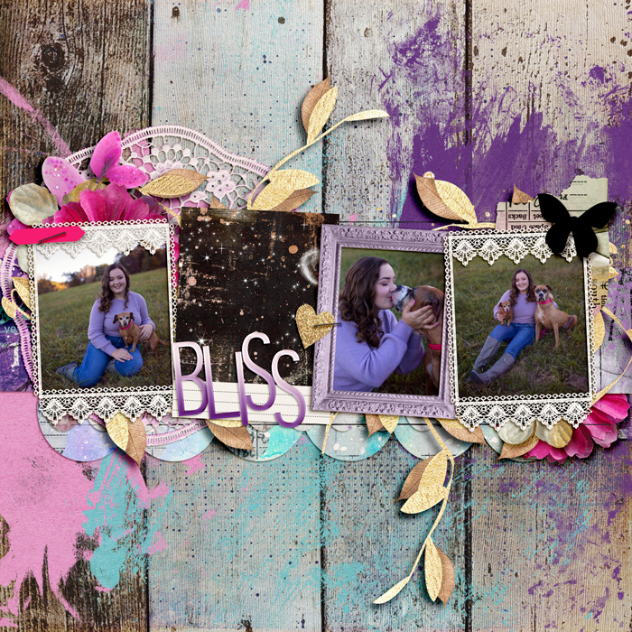 blisssm
