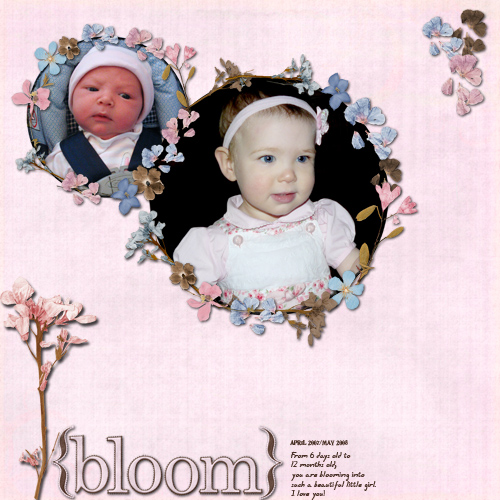 bloom-copy