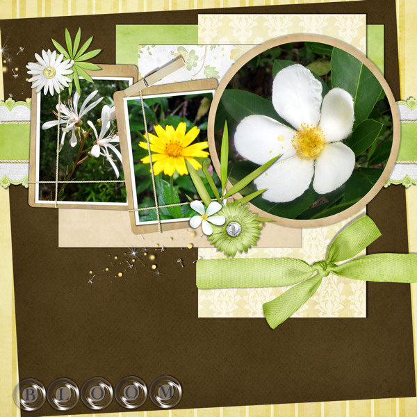bloom12