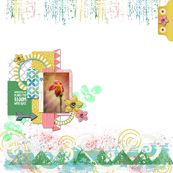 bloom23