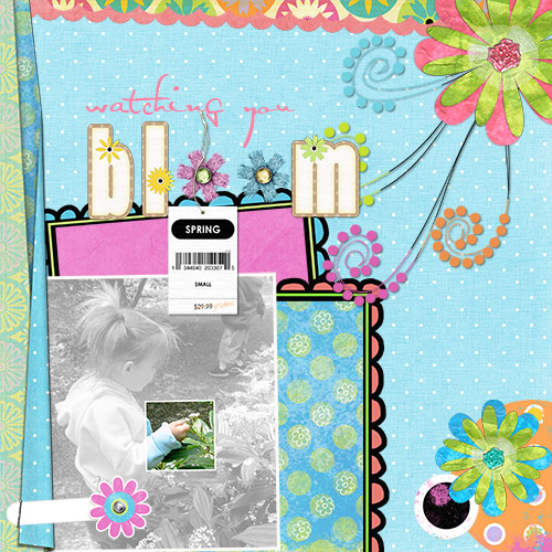 bloom3
