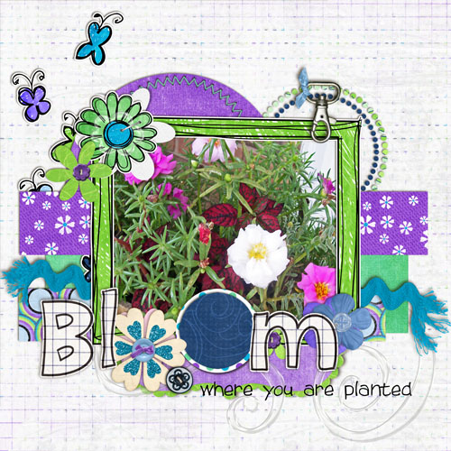 bloom_where_you_re_planted