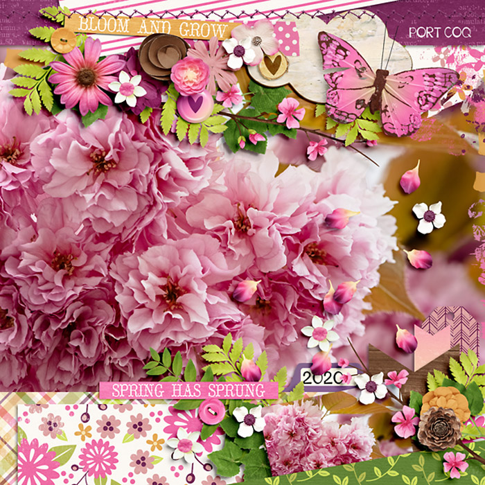 bloomandgrow-copy