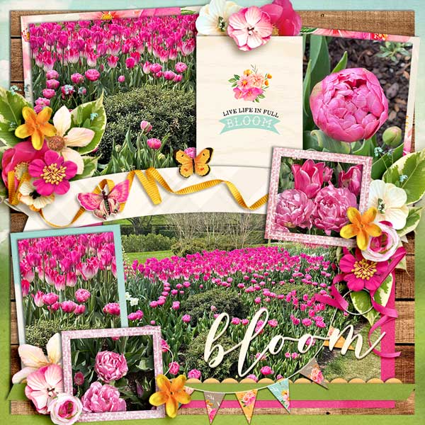bloompink