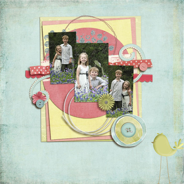bluebonnets_copy