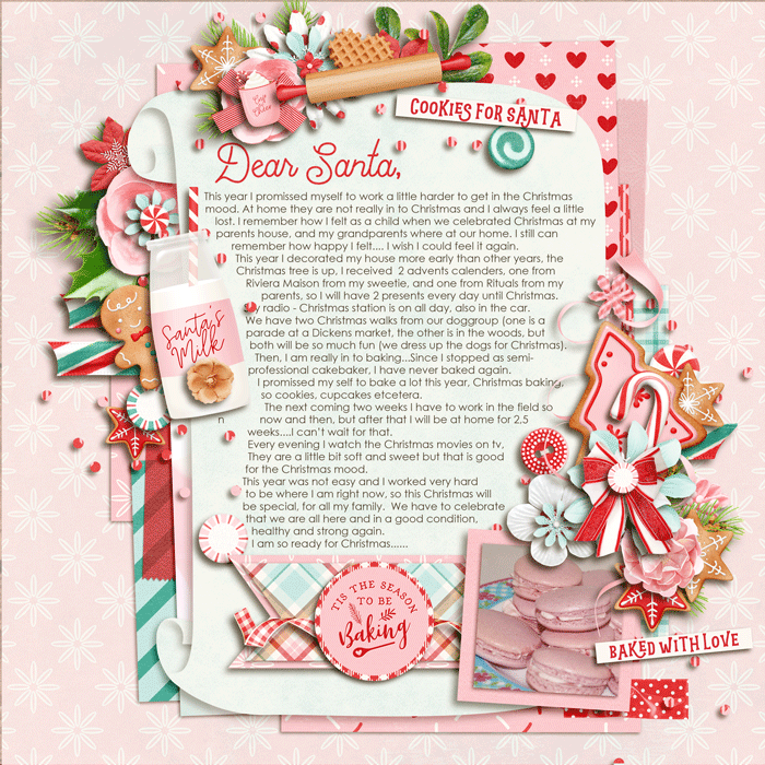 bmagee-duo51-magic_wonder-DSI-Holiday-baking-700