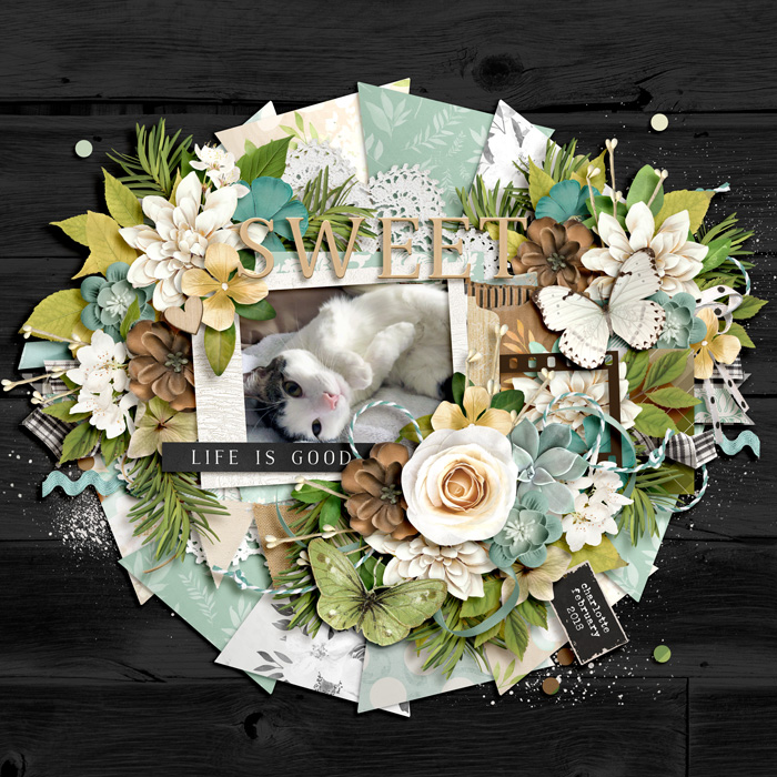 bmagee-scrapyourstoriesduo-