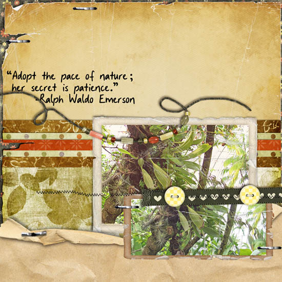 botanical_copy