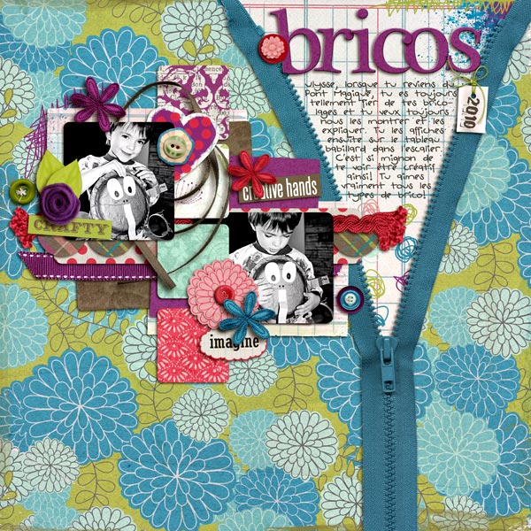 bricos2