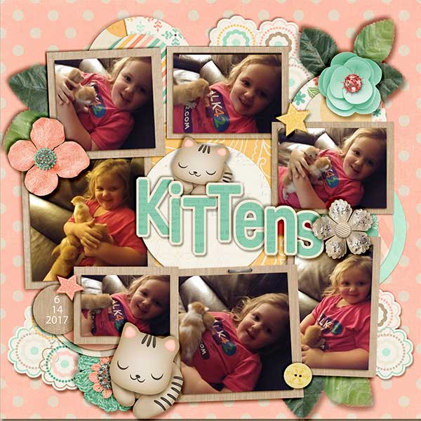 brittbree-kittens