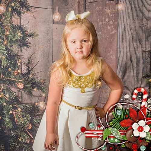brittbreechristmaspictures